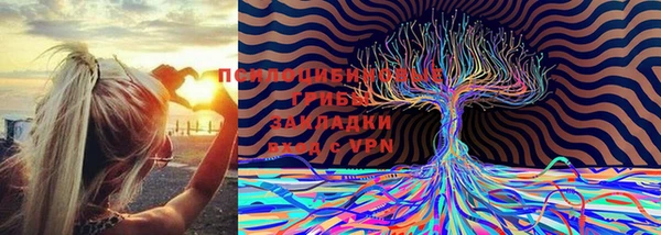 твердый Балахна