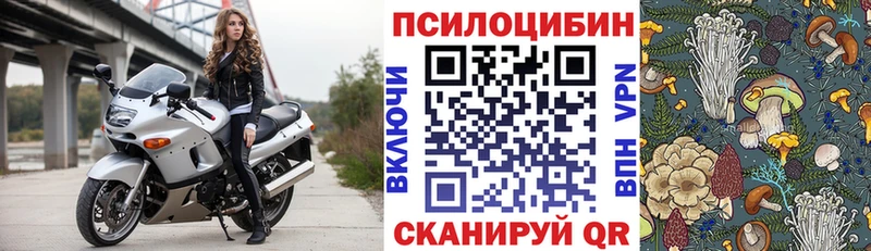 Галлюциногенные грибы MAGIC MUSHROOMS  где продают   Казань 